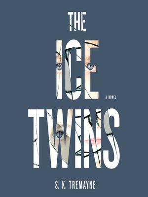 cover image of The Ice Twins